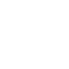 The SEV Group